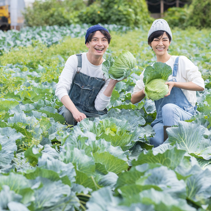 産地連携事業